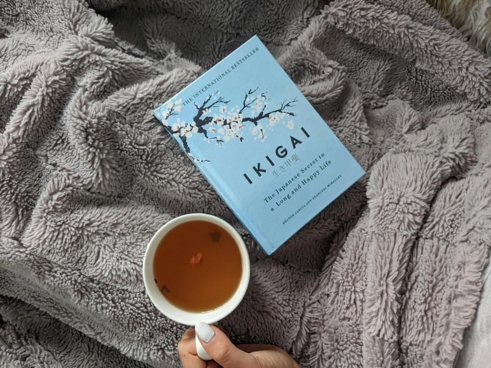 coaching ikigai